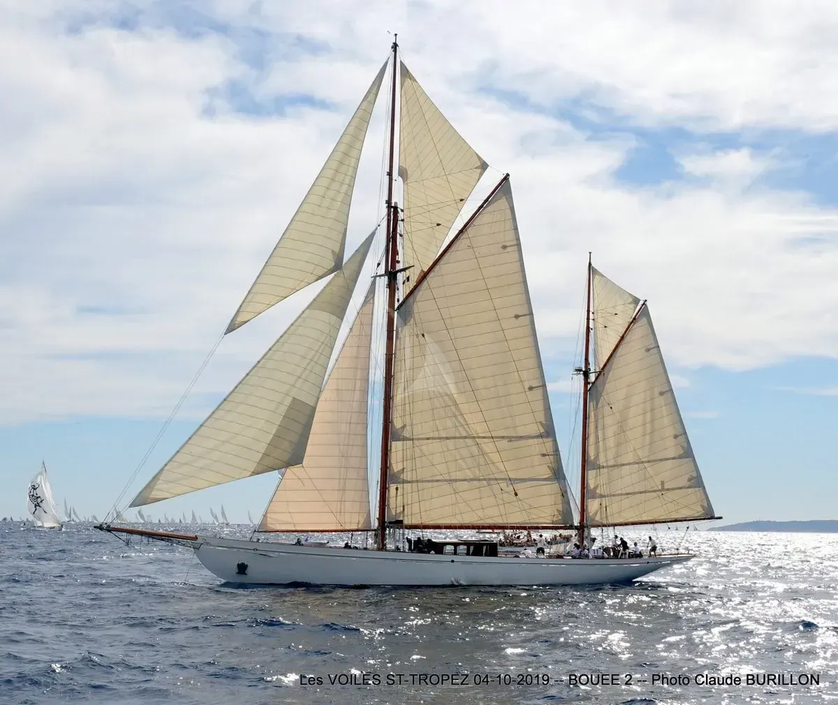 Black Swan - photo 9