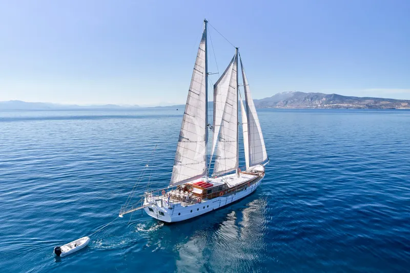 WHITE PEARL - exterior 6