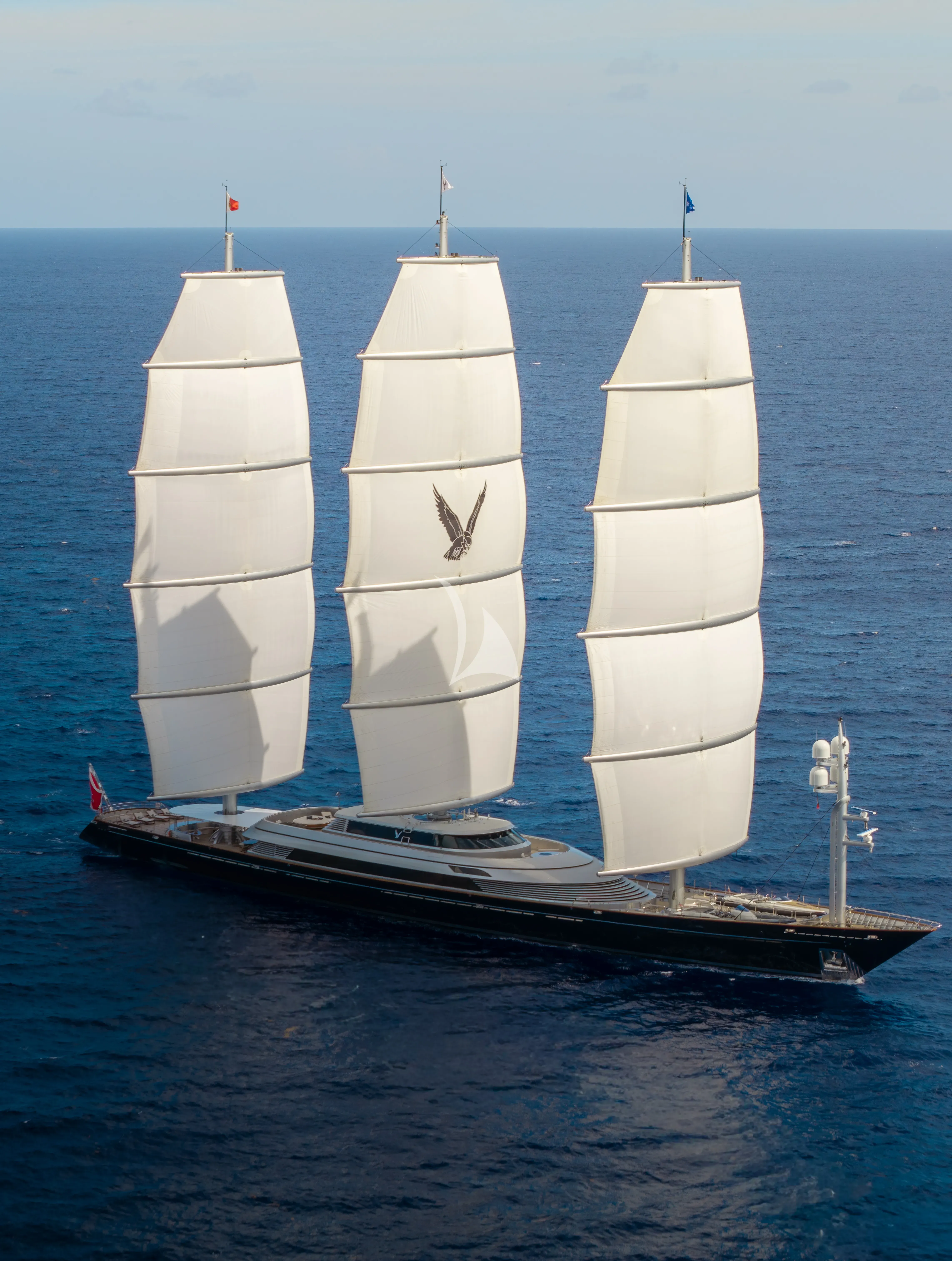 MALTESE FALCON - exterior 2