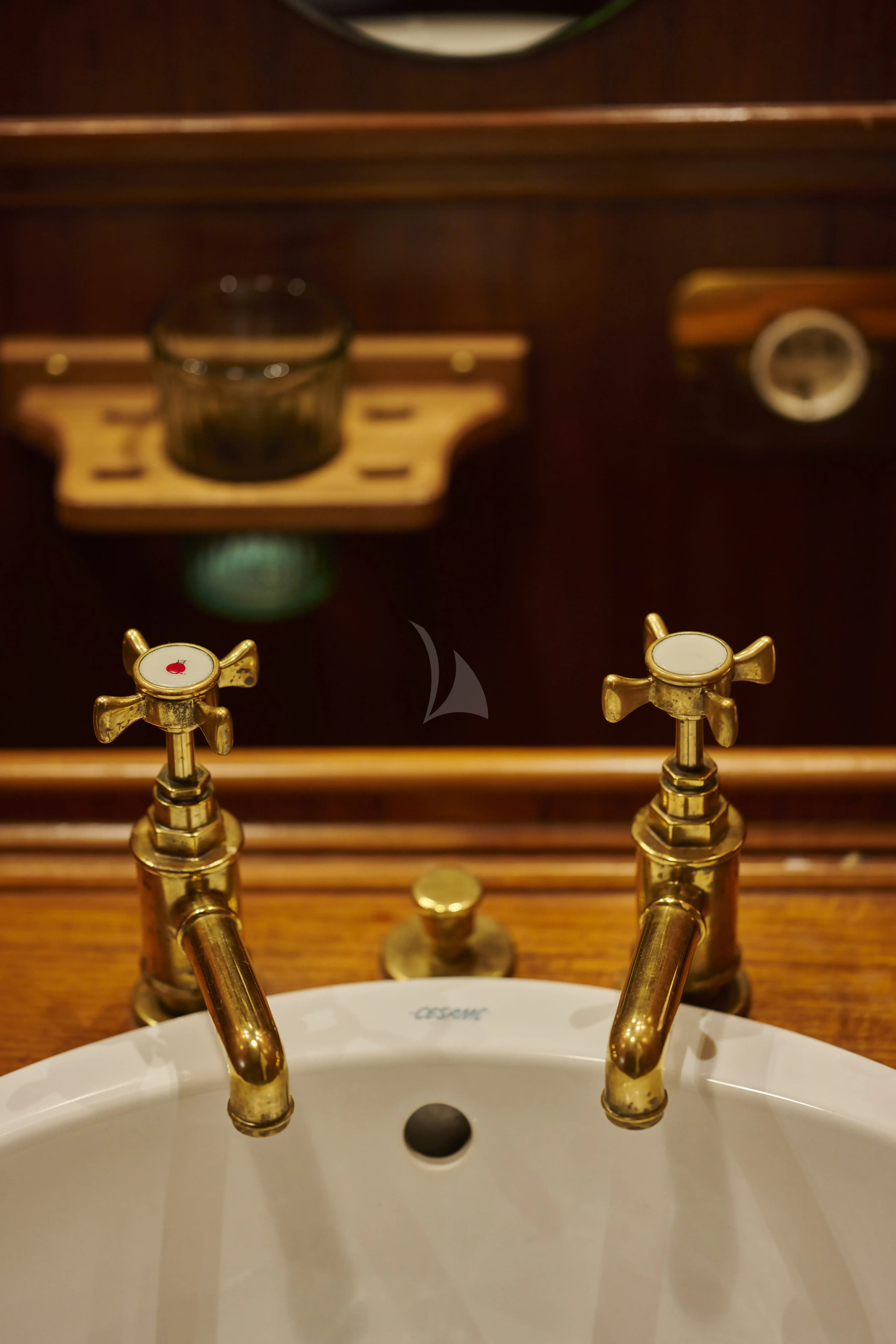 Black Swan - photo 6