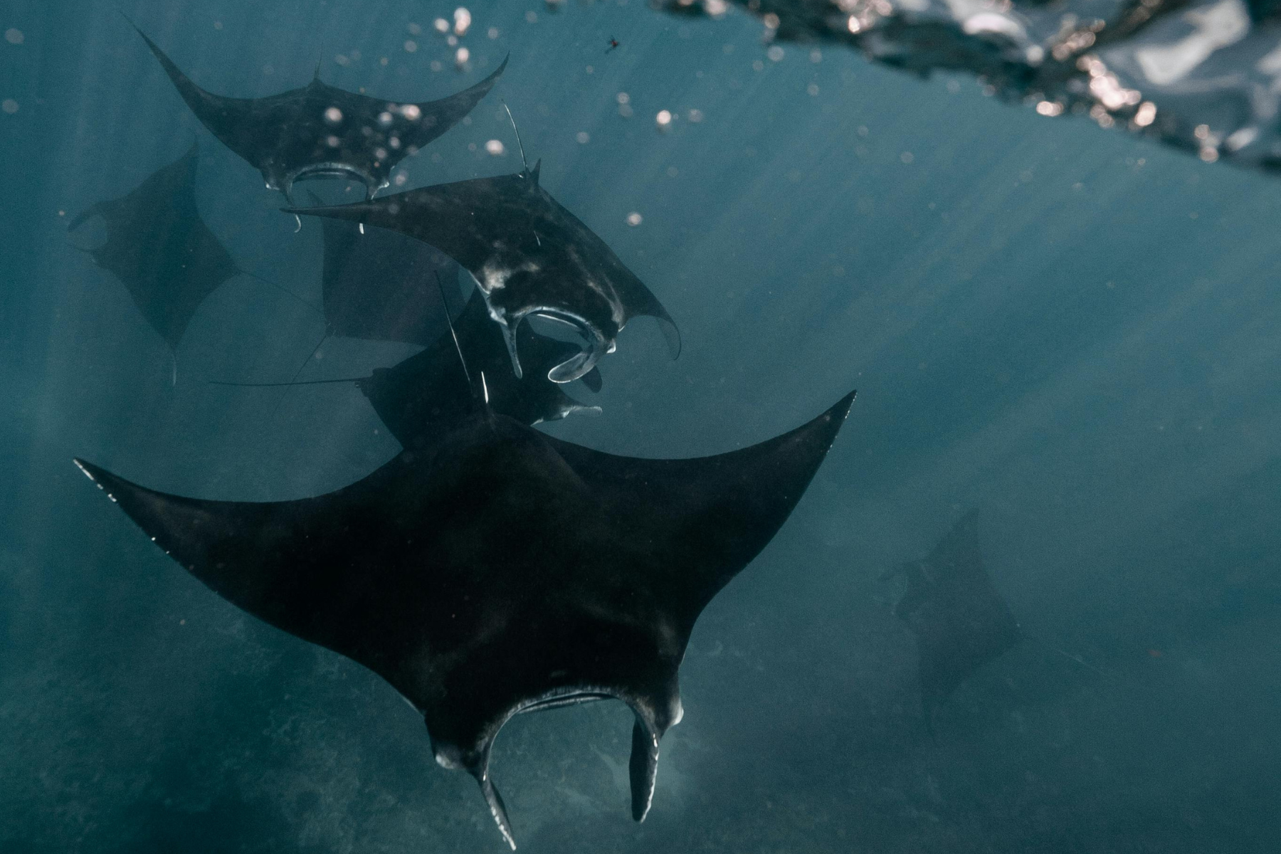 Misool Island, Raja Ampat