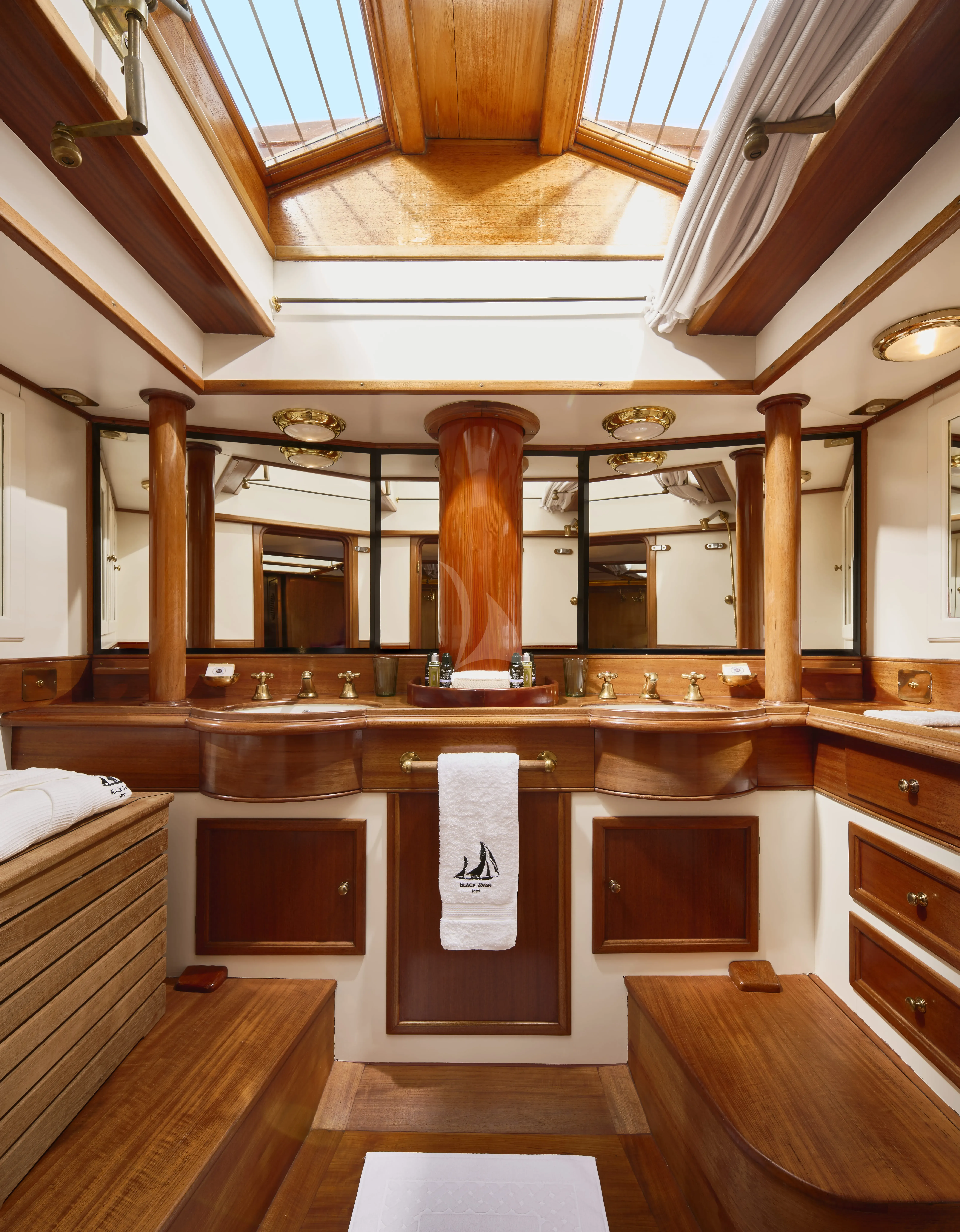 Black Swan - photo 8