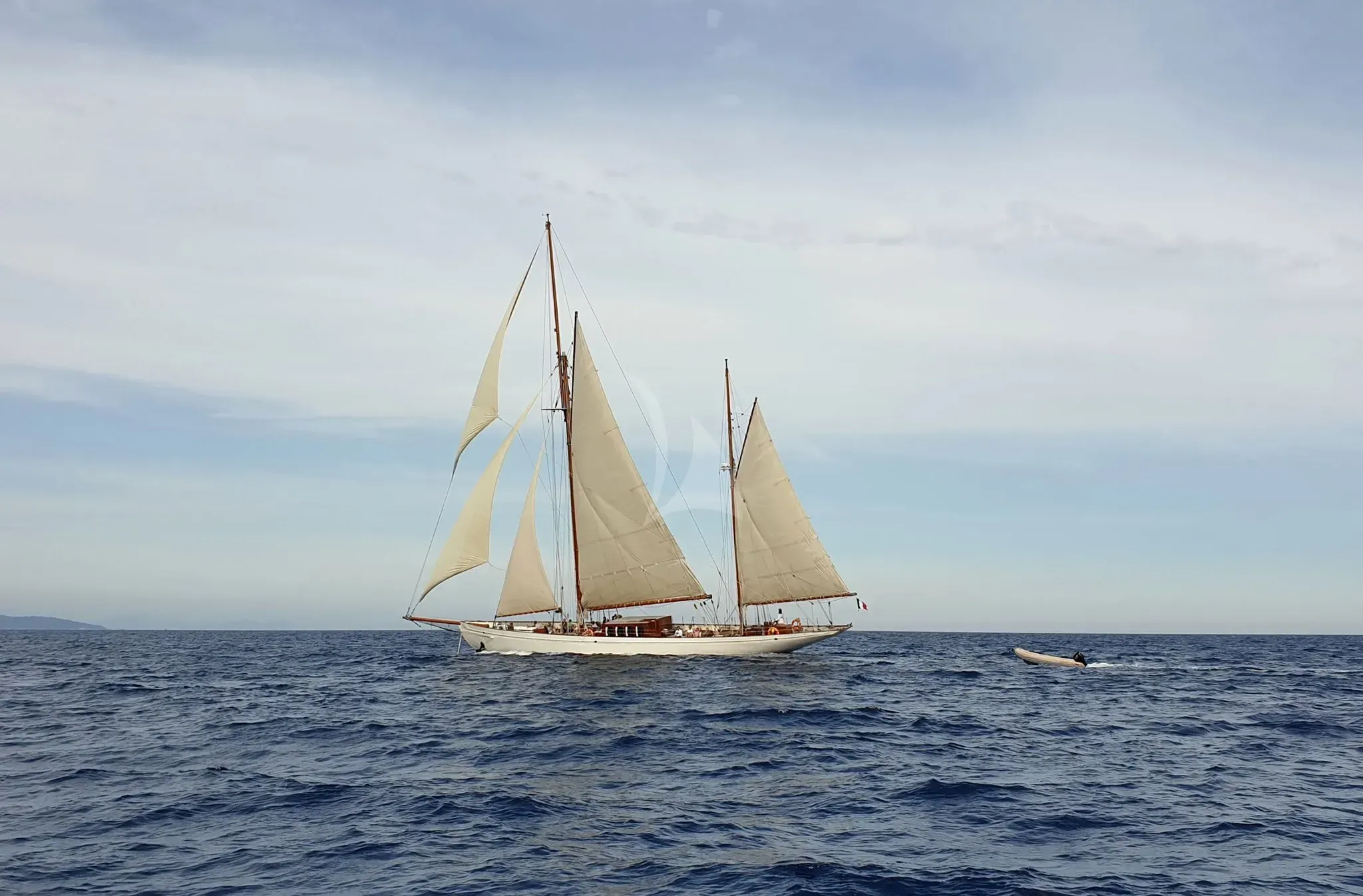 Black Swan - photo 10