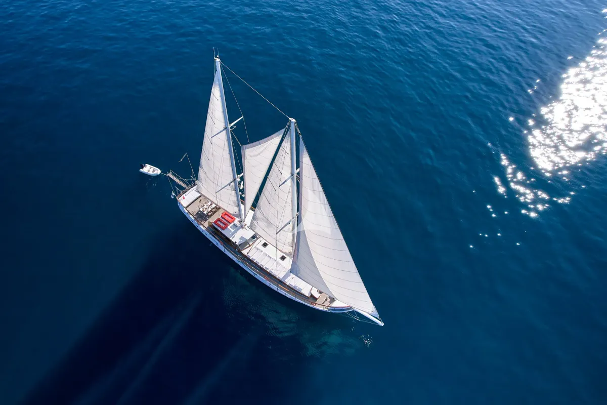 WHITE PEARL - exterior 1